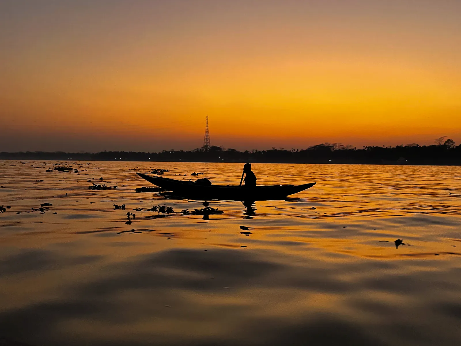 নীলাঞ্জনা তিথি-এর ছবি