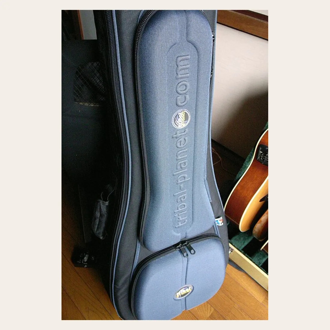 Padded Guitar Gig Bag